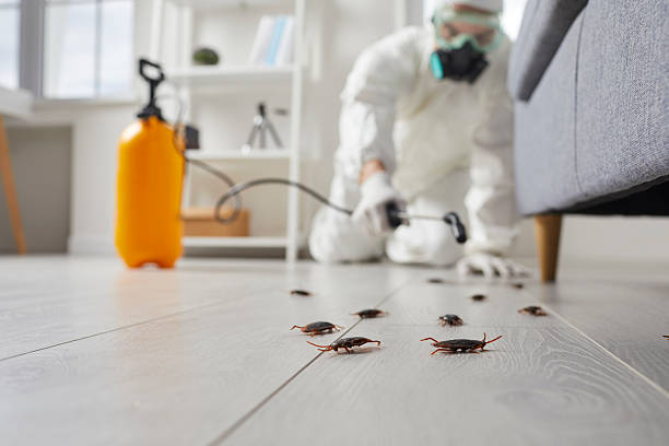 Affordable Cockroach Control solutions in Helper, UT